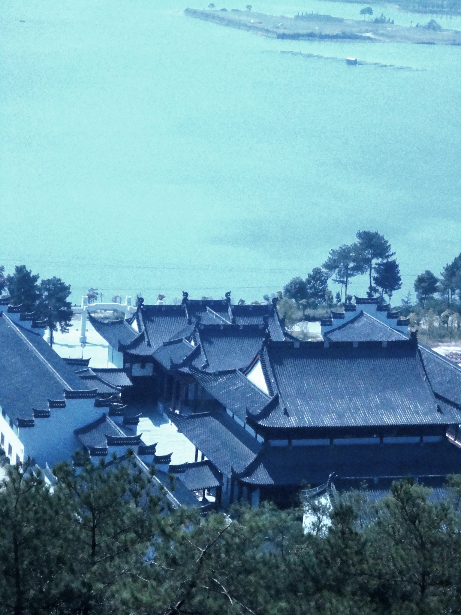 ���������������